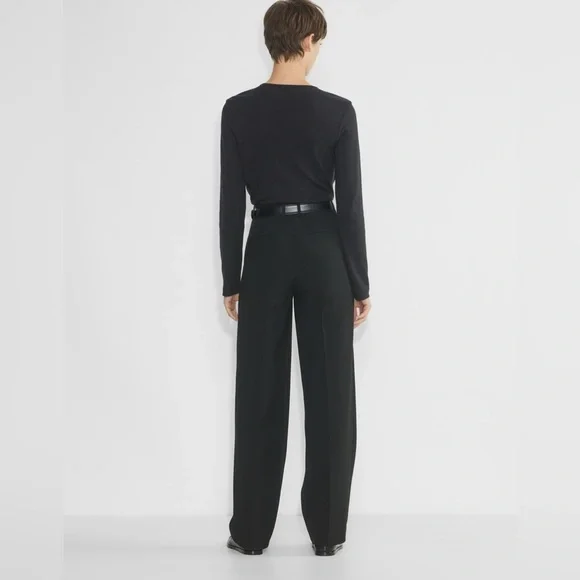 Aritzia Babaton Pleated Pant —TALL - Picture 2 of 11